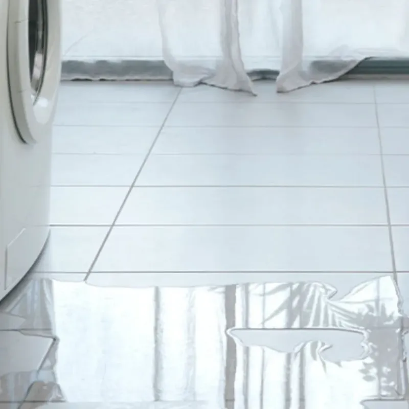 Appliance Leak Cleanup in Sarita, TX