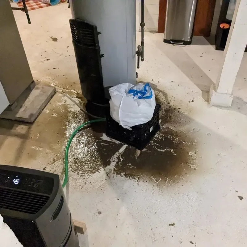 Sewage Backup Cleanup Service in Sarita, TX